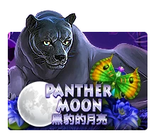 Panther Moon