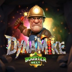 Dyna'Mike BoosterBelt